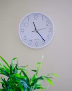 Halo minimal wall clock above lush green indoor plants on a soft beige wall