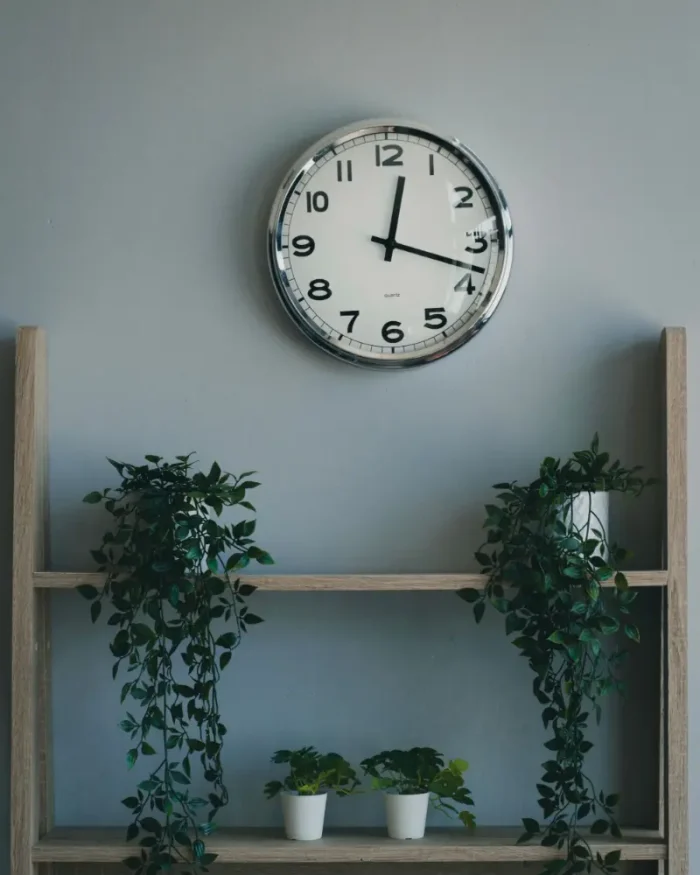 Halo minimal wall clock above a wooden shelf of trailing plants against a grey-blue wall