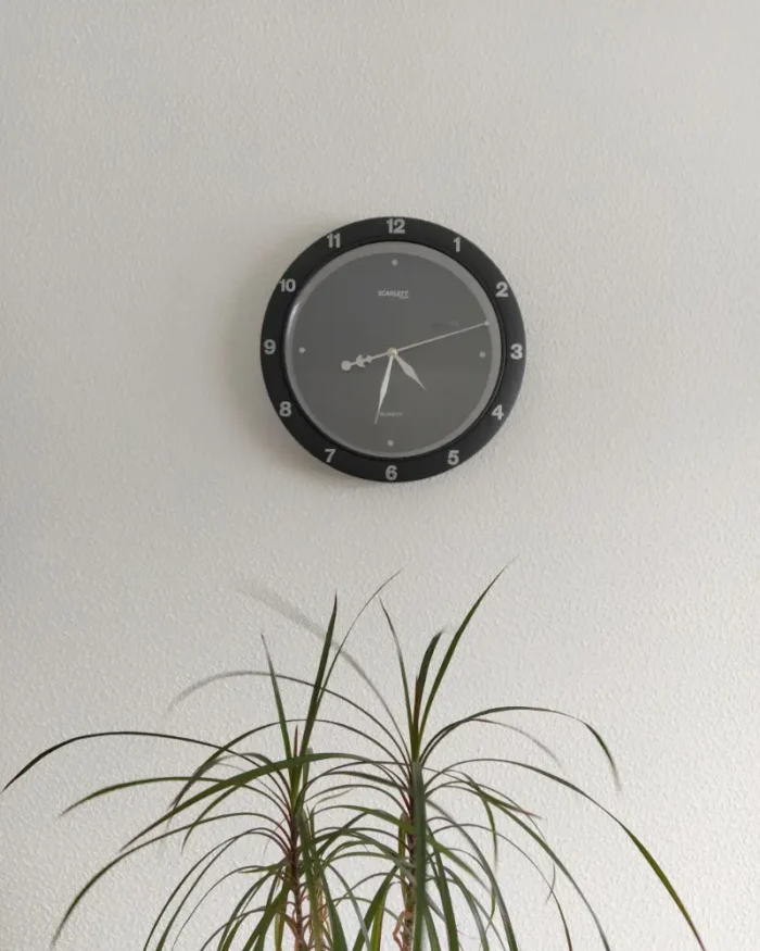 Halo minimal wall clock with a dark dial above a leafy dracaena plant in a calm white room