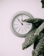 Halo minimal wall clock on a blush wall beside a leafy dieffenbachia houseplant
